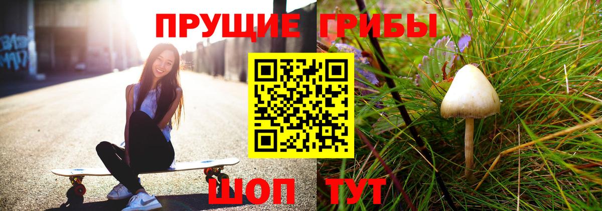 цена   Галлюциногенные грибы GOLDEN TEACHER  Вход с VPN  Брянск 